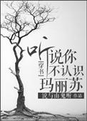 听说你不认识玛丽苏100