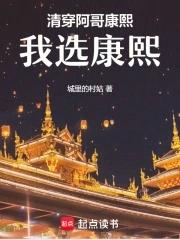 所有阿哥的清穿