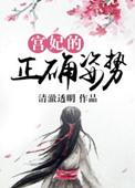 宫妃的正确姿势 百度