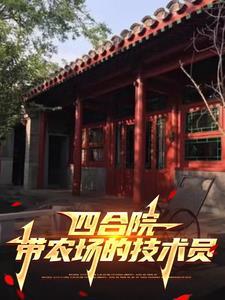 真实四合院