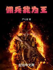 佣兵我为王 目录共1001章