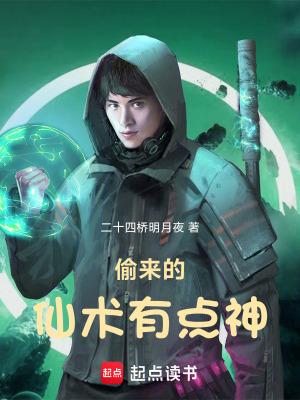 偷来的爱全文阅读