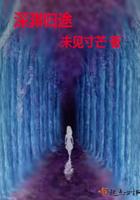 深渊归途 txt