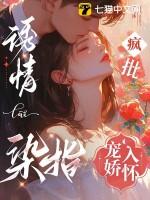 疯批宠娇入怀 作者清丹沐