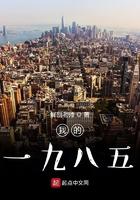 我的一九八二年