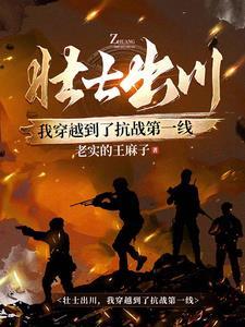 川军抗战我能听到鬼子战略部署动画