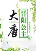 大唐晋阳公主讲了什么