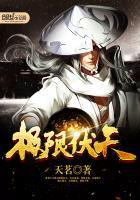 极限伏天免费阅读无弹窗