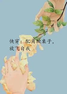 快穿配角文