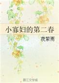 小寡妇的第二春免费观看