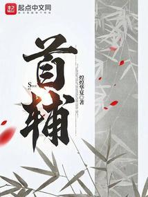 首辅攻略手札