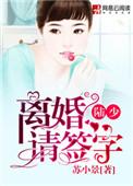 陆少离婚请签字免费阅读陆泽