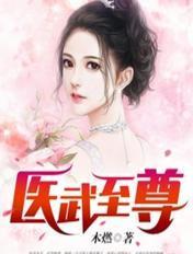 医武至尊几个老婆