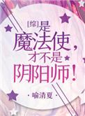 综是魔法师才不是召唤师