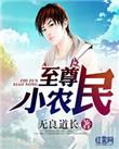 至尊小农民续集最新