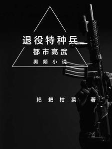 退役特种兵复仇