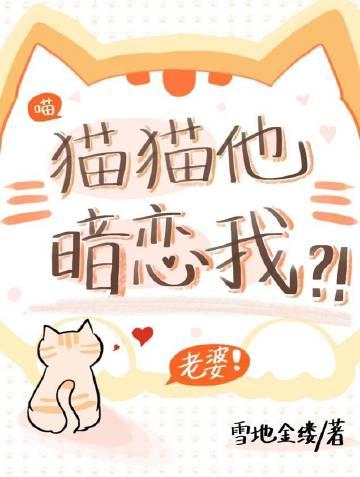 如果猫咪喜欢你的表现