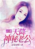 闪婚甜妻神秘老公太霸道免费阅读