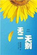 无二无别歌词是什么歌