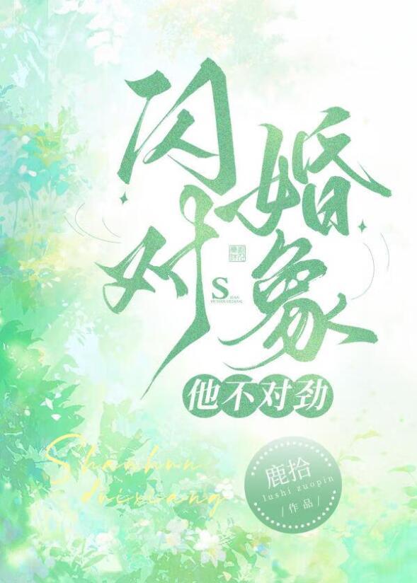 闪婚男友太给力