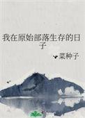 我在原始部落当酋长全文免费阅读
