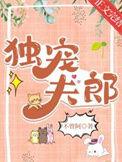 独宠夫郎TXT