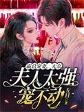 霸总宠妻太强悍漫画