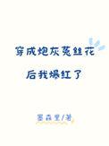 穿成炮灰[穿书