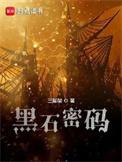 黑石密码国家原型
