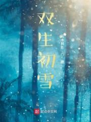 双生原著