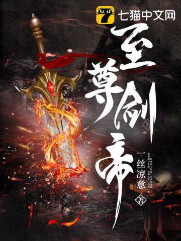 至尊剑帝叶无双