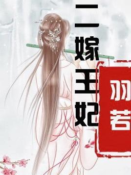 二嫁王妃全文