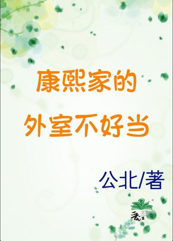 清穿康熙外室免费阅读