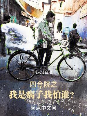 四合院我是二大爷