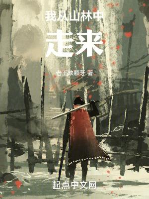我匆匆的走入森林中