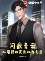 问鼎巅峰完整版