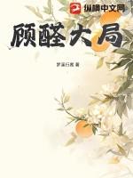 顾全大局的顾是什么意思啊