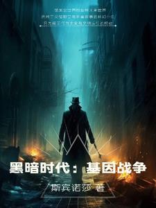 黑暗时代13