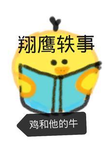 鹰翔推荐