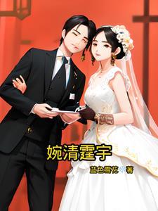 女主是婉清的