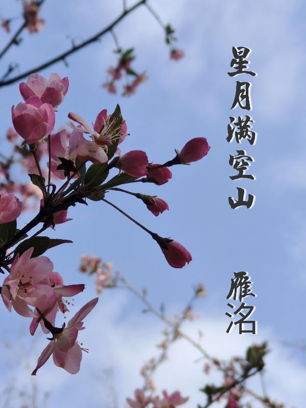 星月满空江什么意思