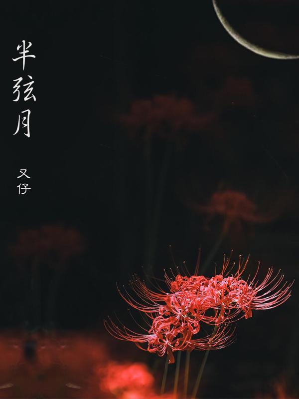 半弦月蚊帐是什么档次