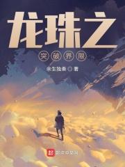 龙珠 之