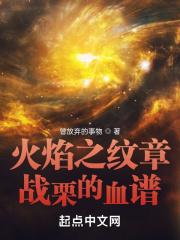 火焰纹章怎么用战技