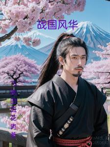 信长之野望13武田家
