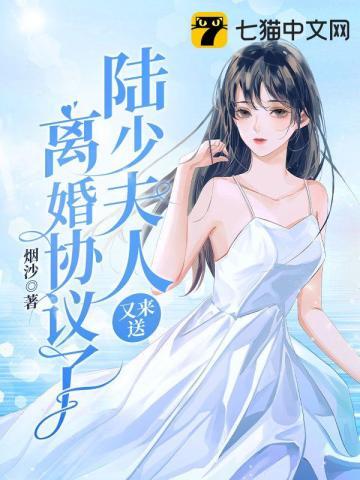 陆少夫人又去碾压名媛了全本免费阅读