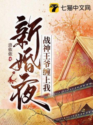 战神王爷嫁给我为妾后