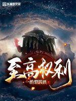 致高权力