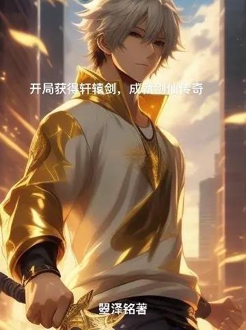 武侠开局一把轩辕剑