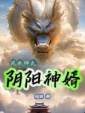 阴阳风水师492章